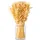 creativ home Trockenblume CREATIV HOME "Trockenblumenarrangement im Glas", beige (creme), H:30cm Ø:9cm, Kunstpflanzen