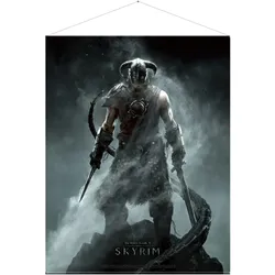 Skyrim - Wallscroll / Wandposter, Dragonborn