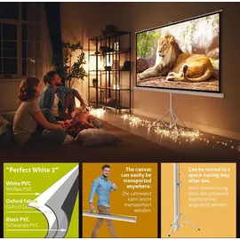 eSmart Professional MISATI Stativ Leinwand 266 x 149 cm (120") 16:9