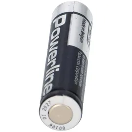 Panasonic Micro AAA 1383 mAh 10 St.