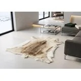generisch Rentier Fell HELLGRAU BEIGE ca. 120 x 100 cm RENTIERFELL AUS NORWEGEN DEKO Fell VON KUHFELLE ONLINE