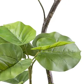 Creativ green Kunstpflanze CREATIV GREEN "Ficus umbellata", grün, H:160cm, Kunststoff, Kunstpflanzen, Kunstpflanze, mit tollem Blattwerk