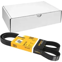 Continental CONTITECH 6PK1230