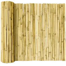 Sol Royal SolVision B99 Sichtschutz Bambus Hell 90 x 250 cm