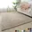 Teppich BRUNO BANANI Teppich besonders weich und kuschelig Kundenliebling Gr 3 B 120cm H 30mm L 180cm Kunstfaser Teppiche Teppich uni Mikrofaser Teppiche Wohnzimmer Schlafzimmer Esszimmer Topseller