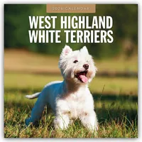 Brown trout-auslieferer flechsig West Highland White Terriers - West