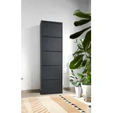 Dmora - Schuhschrank Isidro, Schuhregal aus Metall, Mehrzweck-Eingangsgarderobe, Möbel für Schuhe, 50x15h172 cm, Schwarz