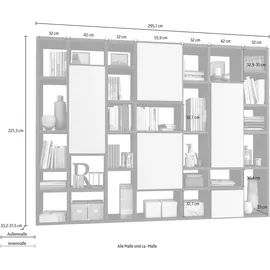 fif Möbel »TORO 520-2«, Breite 295 cm