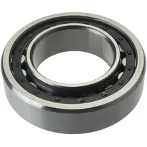 FAG Zylinderrollenlager NJ2205-E-M1 ID 25 mm AD 52 mm Breite 18 mm