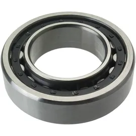 FAG Zylinderrollenlager NJ2205-E-M1 ID 25 mm AD 52 mm Breite 18 mm