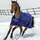 Bucas Smartex Rain 0g Regendecke 140 Blau