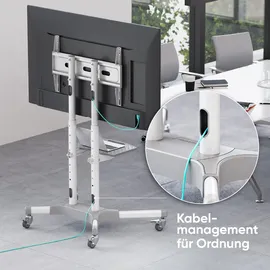 ONKRON TS1351-W TV-Rack 32-65 Zoll 50 kg Weiß Kunststoff/Metall/Stahl