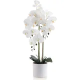 Meisterhome Orchidee Kunstpflanze 80 cm – Künstliche Phalaenopsis Orchidee realistisch – Elegante Deko Blume im Topf – Pflegeleicht für Wohnzimmer, Büro & Schlafzimmer
