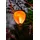NORTHPOINT Laterne Kunststoff/Metall 19x58x19 cm Solar LED Gelb/Lila