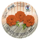 Ludwig Bähr Faltblätter Rund Uni intensiv 12 cm 100 Blatt