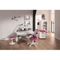 Schreibtisch PAIDI DIEGO 120