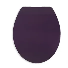 SANITOP-WINGENROTH WC-Sitz Disteso Gloss mit Absenkautomatik, Dekor Toilettensitz mit Softclose-Funktion