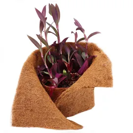 Aquagart 35m Kokosmatte Winterschutz Böschungsmatte Kokosfasermatte 800g/m2 0,5m breit