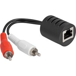 Delock Stereo Audio Extender RJ45 Bu zu 2 x Cinch, Audio Kabel