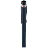 Belden 934636169-1 Sensor-/Aktor-Steckverbinder, konfektioniert M8 Stecker, gerade 2.00 m Polzahl Sensoren: 8 1 St.