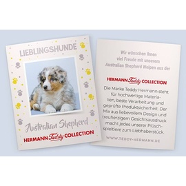 Teddy-Hermann Australian Shepherd Welpe sitzend