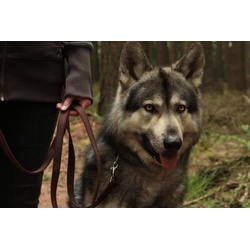 Haustierzubehör Hundeartikel Hundesport Super-Grip | braun | gummierte Hundeleine | 2 cm x 120 cm lang | mit Handschlaufe