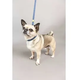 BUILT Reflektierender Doppelgriffgurt - Blue - m