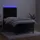 vidaXL Boxspringbett 100 x 200 cm Schwarz