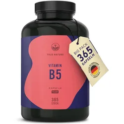 Vitamin B5 Kapseln, Pantothensäure - 1 Jahr Vorrat, Vegan 365 St