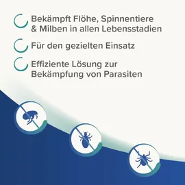 beaphar Dimethicare Ungeziefer Zerstäuber 250 ml