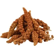 Lyra Pet Kolbenhirse rot Sittiche 15 kg