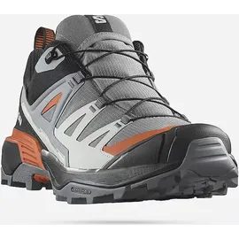 Salomon X Ultra 360 GTX Herren Quiet Shade / Black / Spice Route 42
