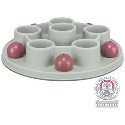 Trixie Cat Activity Pentagon