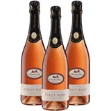 Oberkircher Winzer Pinot Rosé Sekt trocken - COLLECTION OBERKIRCH - frisch-fruchtiger Rosé Sekt mit zartem Süß-Säure-Spiel am Gaumen - Badischer Sekt, Anbaugebiet Ortenau (3 x 0,75l)