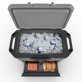 Ninja Kühlbox FrostVault FB151EUGY mit Trockenzone Schiefergrau 47 l