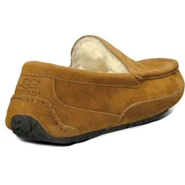 UGG Australia UGG ASCOT chestnut - 42