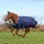 Bucas Atlantic Turnout 50g - Navy