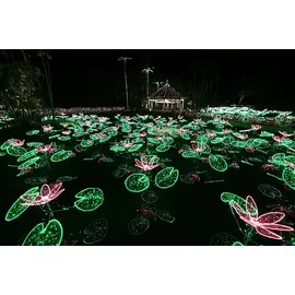 Canon RF 15-30mm f./4.5-6.3 IS STM