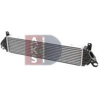 AKS DASIS 117008N