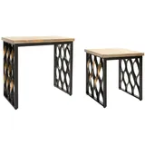 fijalo Meti_MB212671