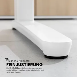 bümö Schreibtisch XBHM Nussbaum / Graphit