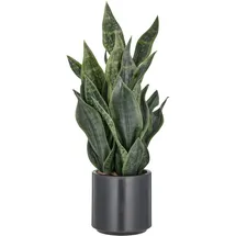 Creativ green Kunstpflanze Sanseveria Grey Stripe, Creativ green, Höhe 66 cm, im eleganten Pflanzgefäß grün