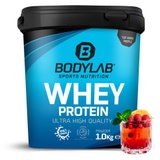 Bodylab24 Whey Protein Fruit Punch Pulver 1000 g