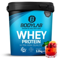 Bodylab24 Whey Protein Fruit Punch Pulver 1000 g