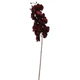 2474U Kunststielblume Orchidee bordaux-rot ca. 100cm naturgetreue Blüte Seidenblume