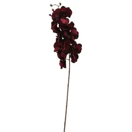 2474U Kunststielblume Orchidee bordaux-rot ca. 100cm naturgetreue Blüte Seidenblume