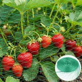 Vogelschutznetz Engmaschig, 4 x 12 M Vogelnetz für Obstbäume, Laubnetz Feinmasch