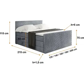 altdecor VEXA-Z 200 x 200 cm H3 Grau