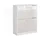 Vicco Schuhschrank Gizmo, Weiß Hochglanz 59 x 72.5 cm 2 Fächern