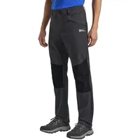 Jack Wolfskin Herren Hiking Alpine Pants M Wanderhose, Phantom, 46 EU